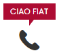 Phone Icon